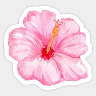 Pink hibiscus flower Sticker